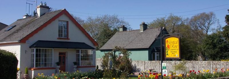 Mystical Rose Hotel Killarney Exterior photo